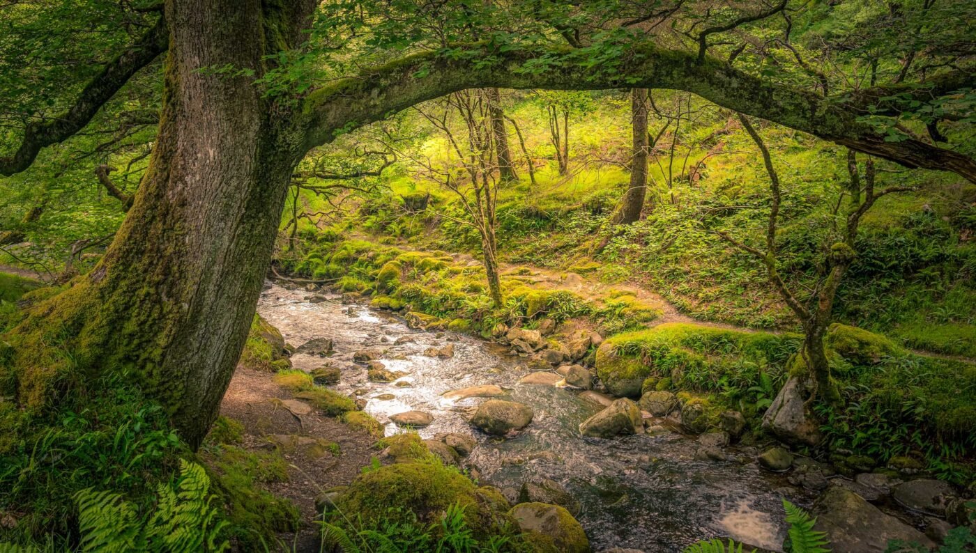Panoramisch uitzicht over de Wicklow Mountains met dramatische wolkenlucht