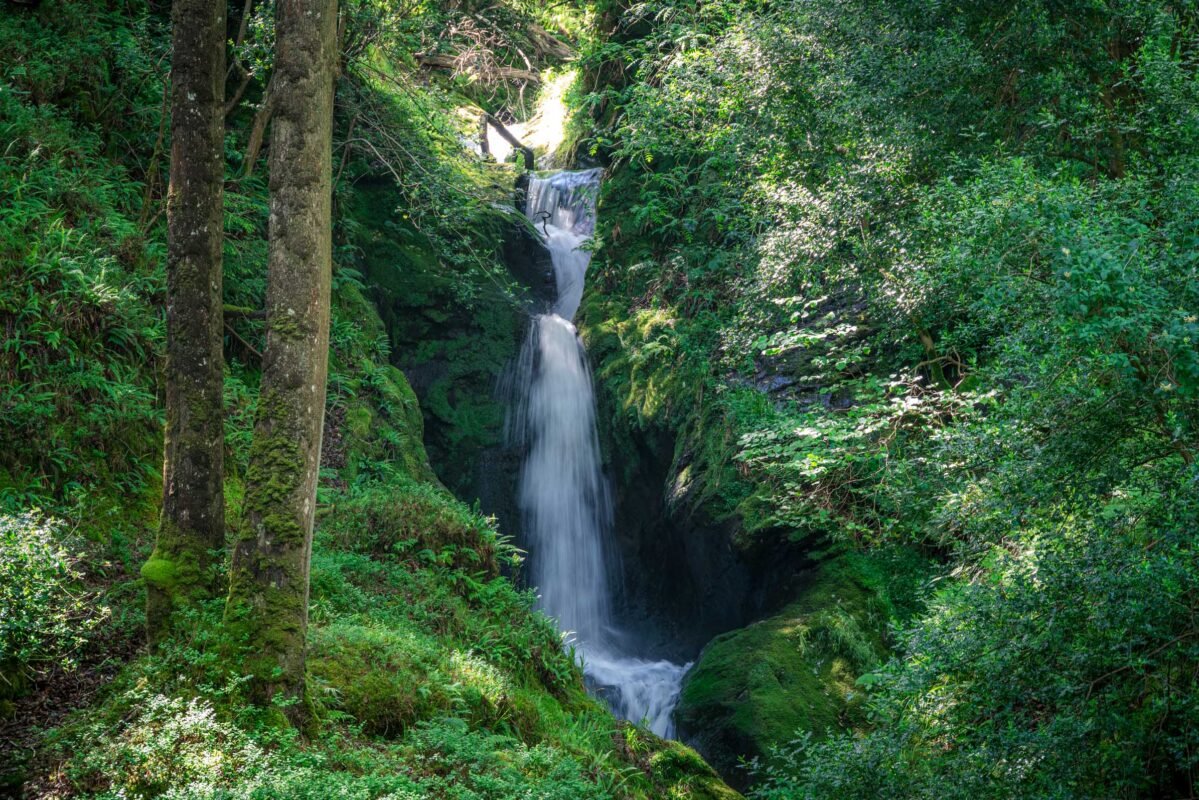 Sfeervol uitzicht over Lower Lake in avondlicht