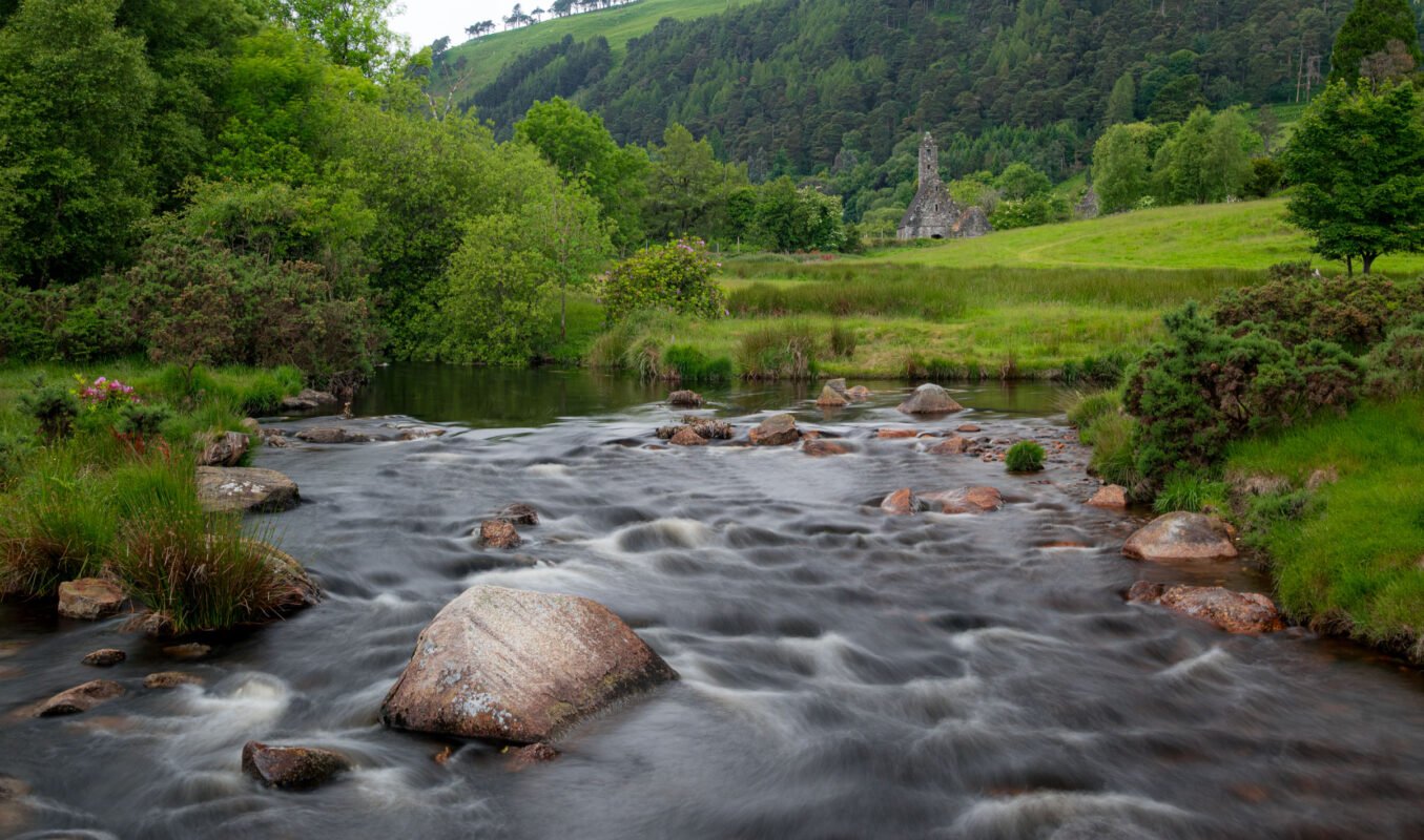 Wandelpad door het bos in Wicklow Mountains