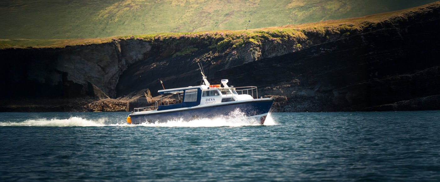 Panoramisch uitzicht op Skellig Michael vanuit zee