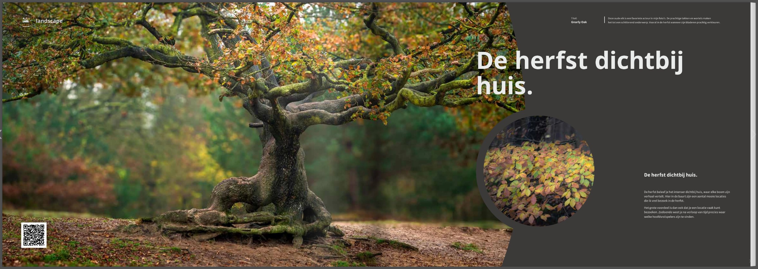 Boek Herfst – De Pracht van de Natuur – 110 Pagina’s Hardcover (Nederlands)
