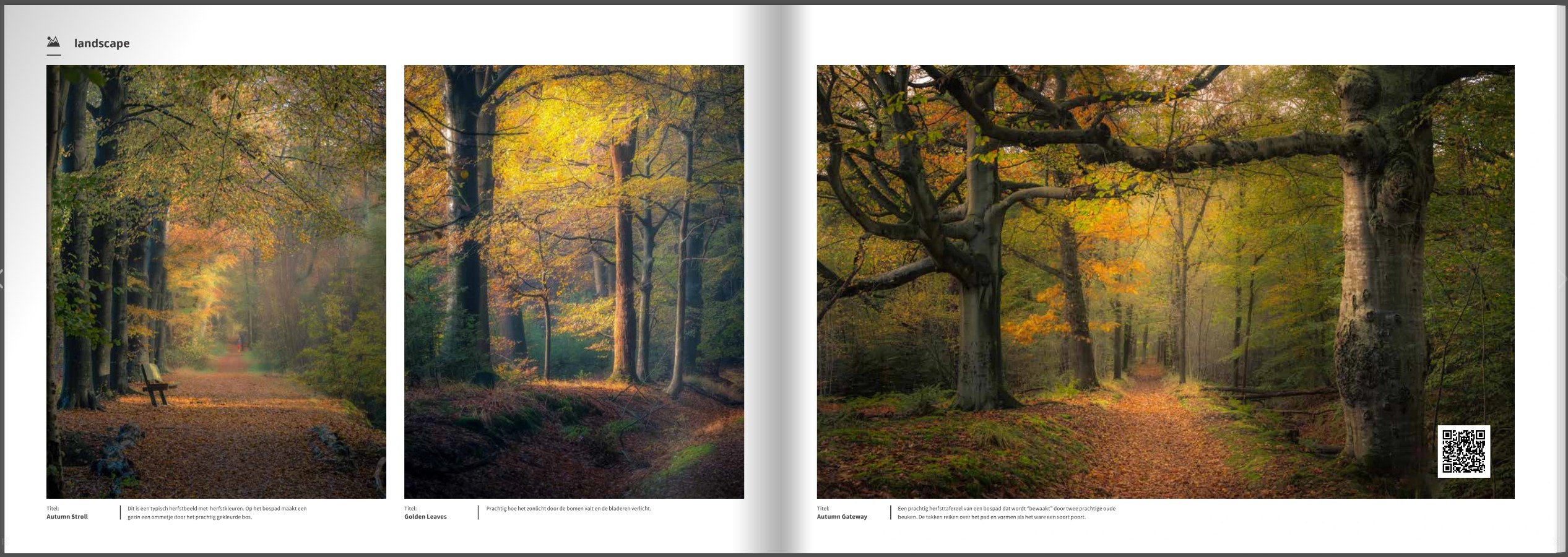 Boek Herfst – De Pracht van de Natuur – 110 Pagina’s Hardcover (Nederlands)