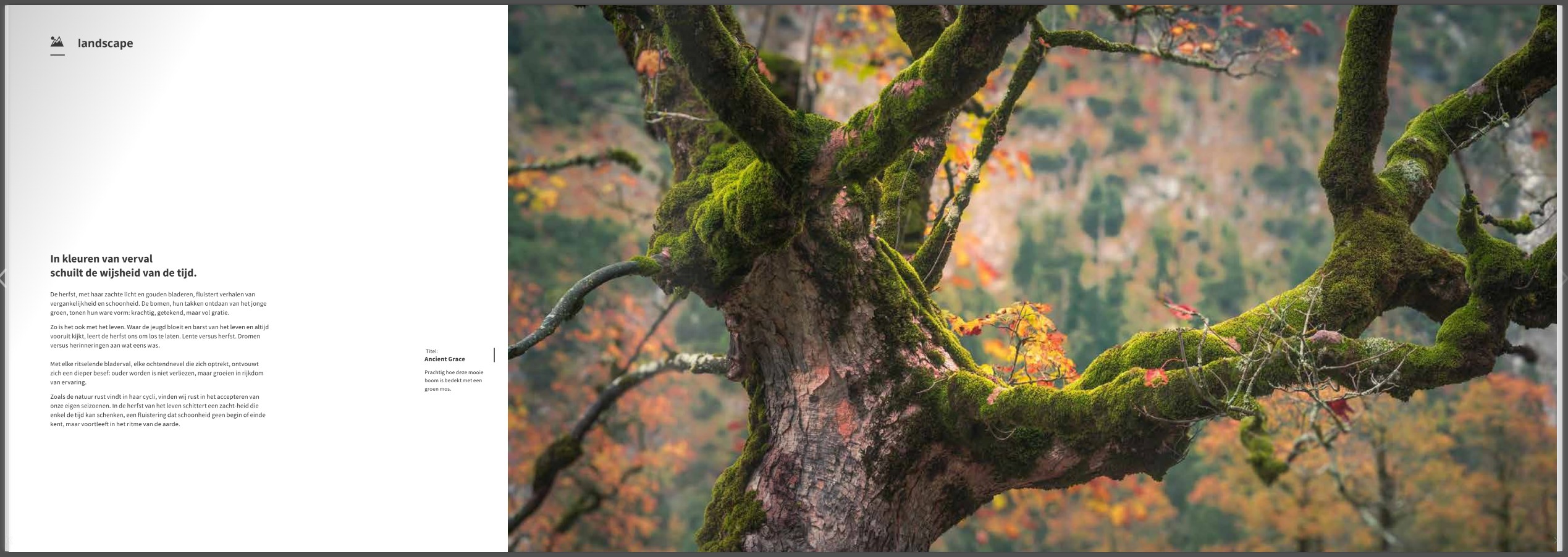 Boek Herfst – De Pracht van de Natuur – 110 Pagina’s Hardcover (Nederlands)