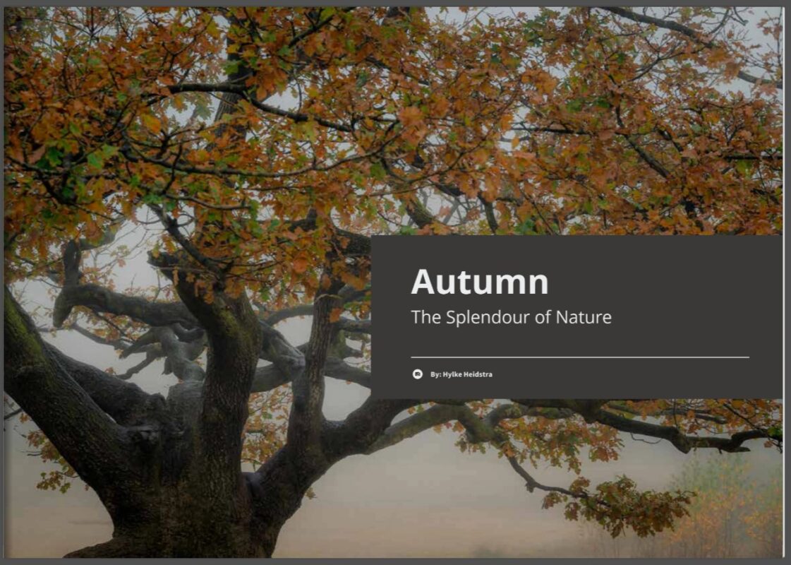 Book Autumn – The Splendour of Nature – 110 Pages Hardcover (English)