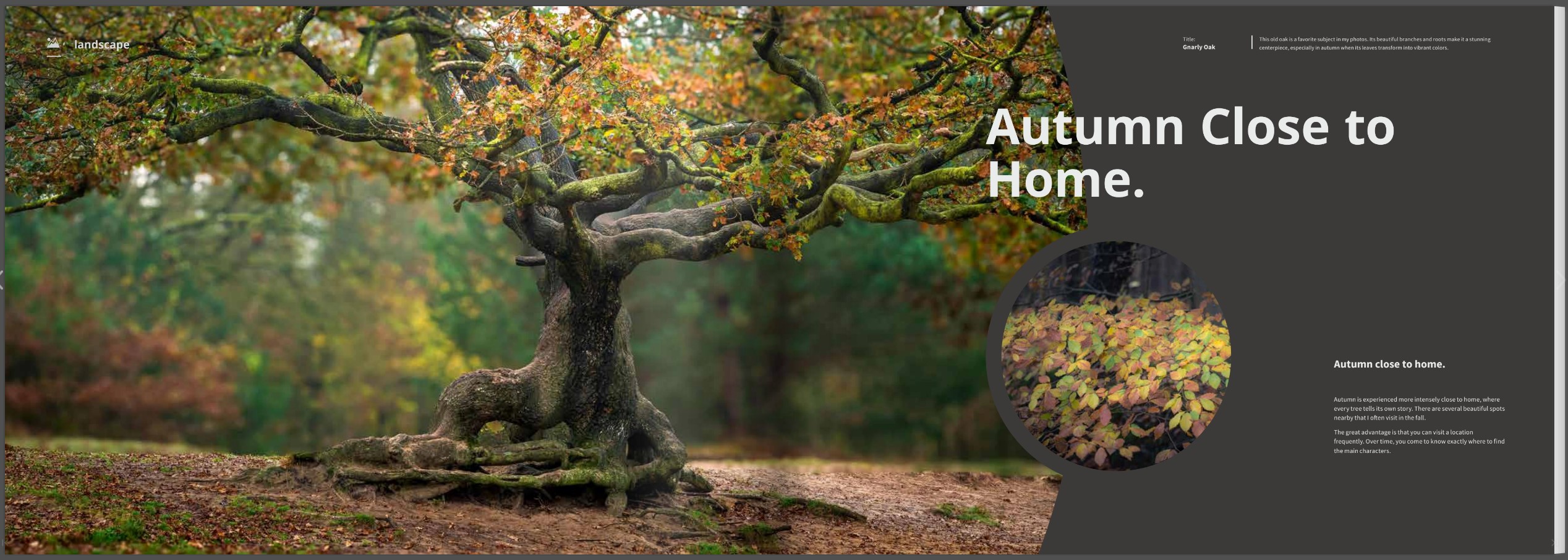Book Autumn – The Splendour of Nature – 110 Pages Hardcover (English)