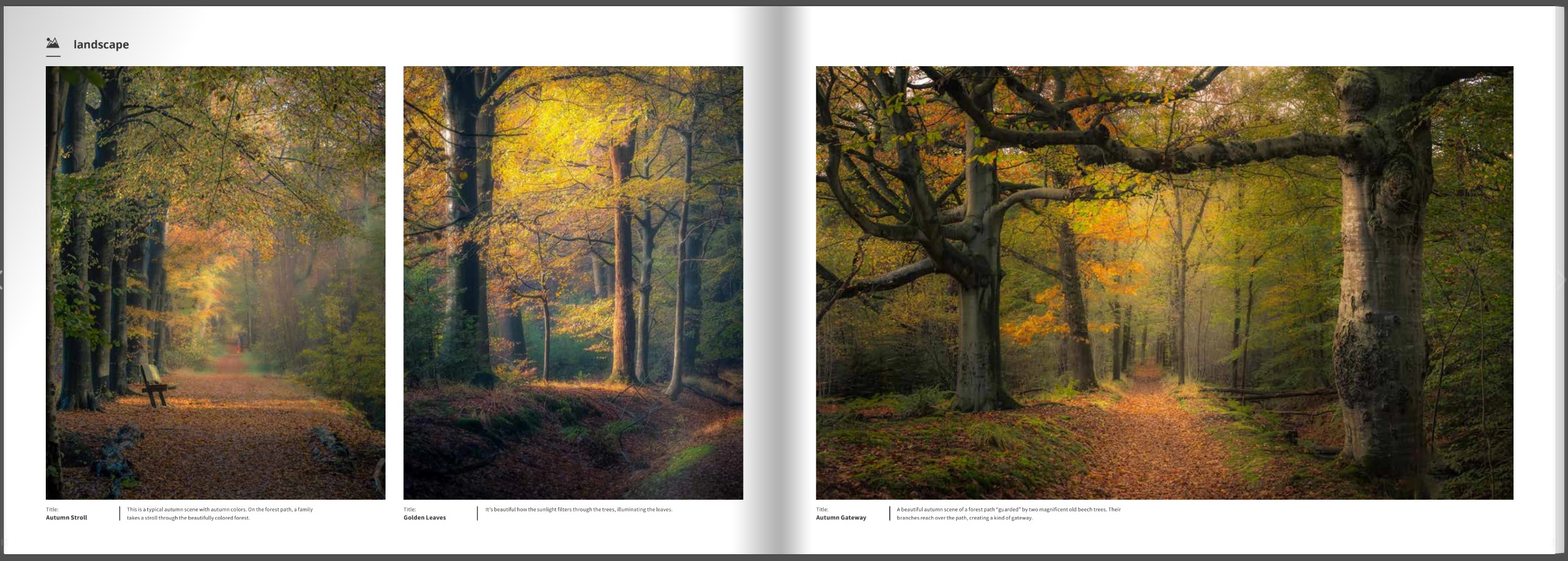 Book Autumn – The Splendour of Nature – 110 Pages Hardcover (English)