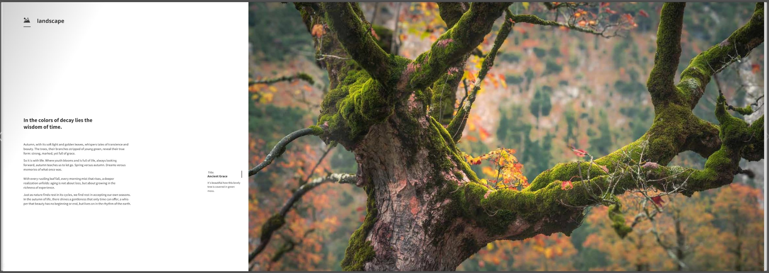 Book Autumn – The Splendour of Nature – 110 Pages Hardcover (English)