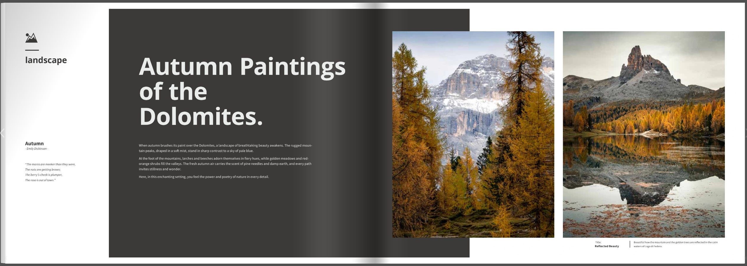 Book Autumn – The Splendour of Nature – 110 Pages Hardcover (English)