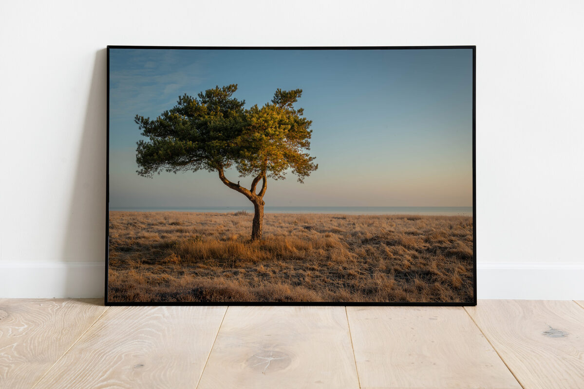Solitude – Fine Art Print