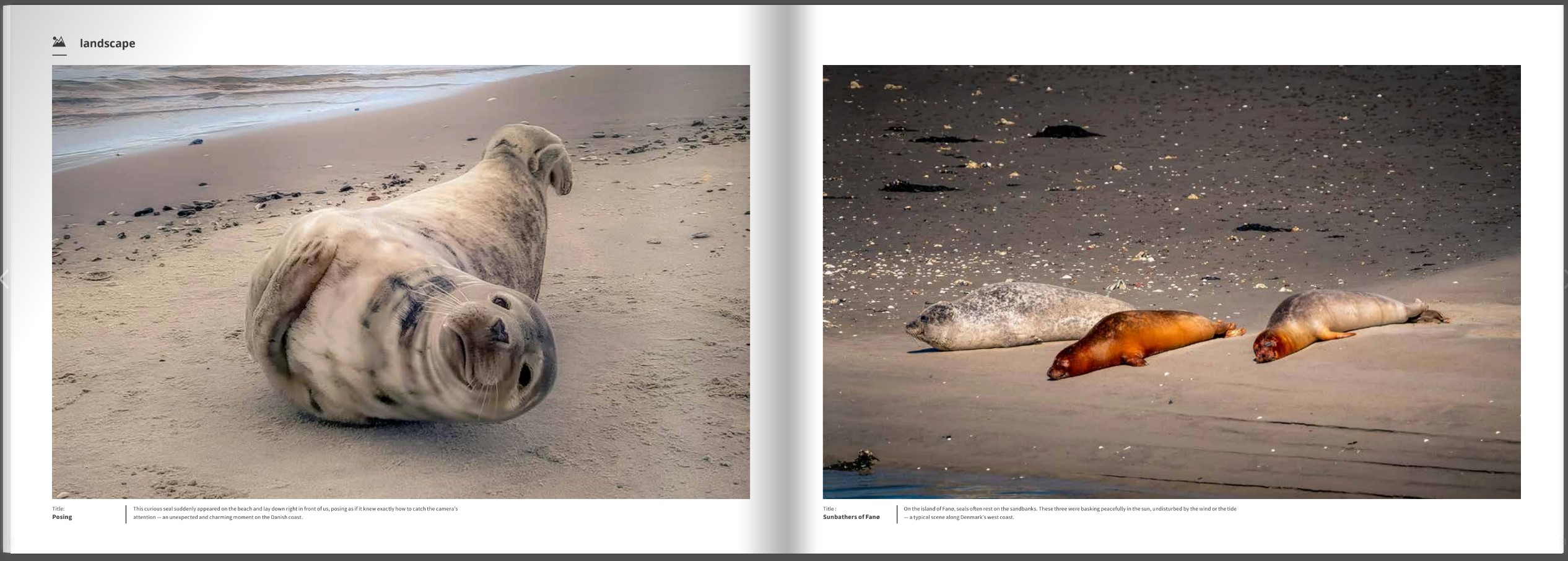 Book Denmark – Land of the Sea – 116 Pages Hardcover (English)